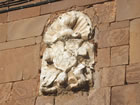 Escudo Mirafuentes